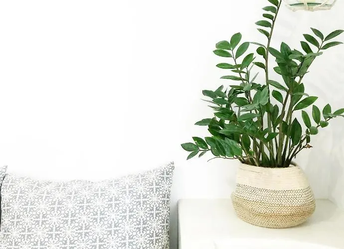 Veletas Lägenhet Adamantas (Milos)